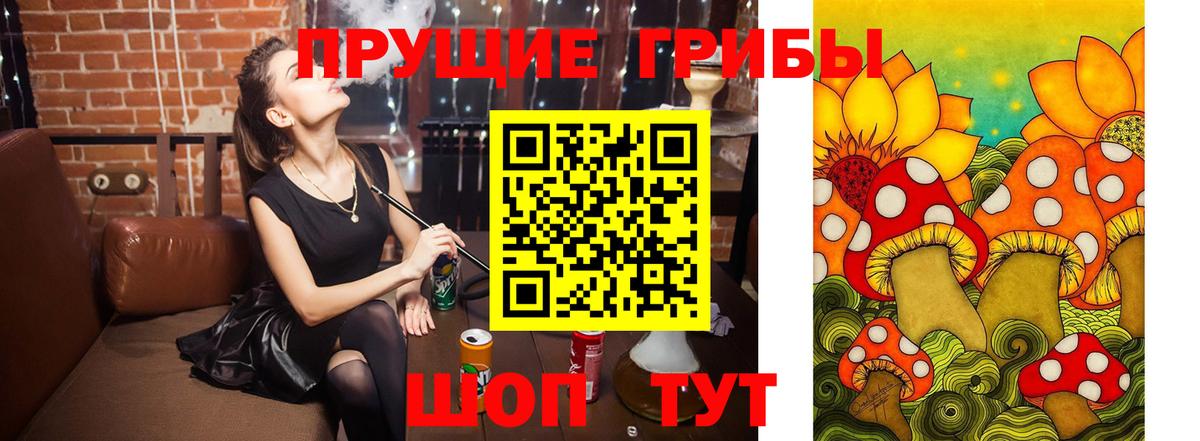 Звенигород  где купить   Вход с VPN  Псилоцибиновые грибы MAGIC MUSHROOMS 