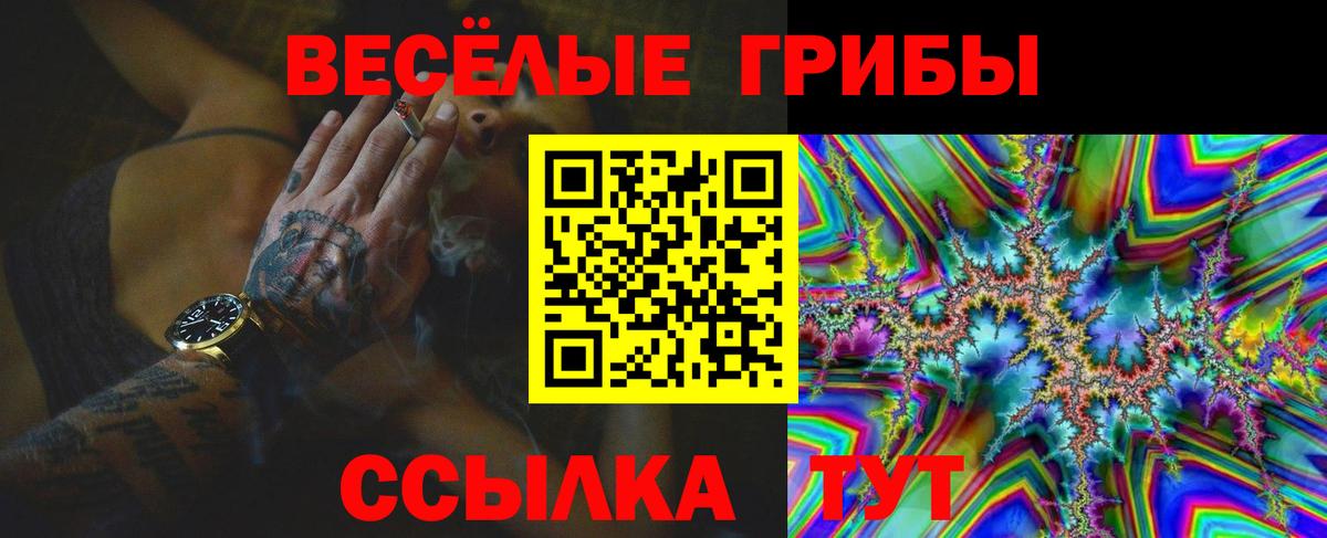 Галлюциногенные грибы ЛСД Звенигород